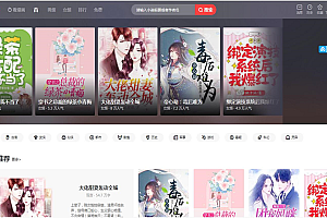 漫画小说CMS系统源码