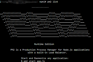 阿拉德-宝塔PM2添加项目报错-切换node不显示版本号解决办法