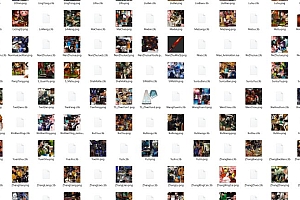 卡牌手游【兽化三国】全套前后端源码+全套xls表+转表工具+玩法攻略文档